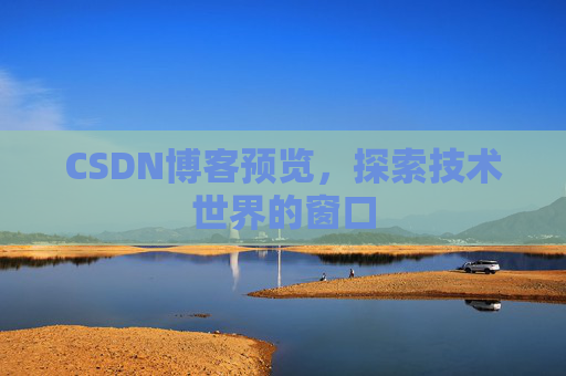 CSDN博客预览,探索技术世界的窗口